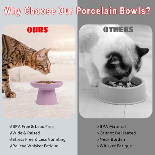 Wide Shallow 6.1" Raised Cat Bowls, Ceramic Elevated Food Plate for Flat Faced Cats and Small Dogs, Porcelain Feeder Bowl, Stress Free, Protect Cat’s Spine, Lavender - color: Lavender-Shallow