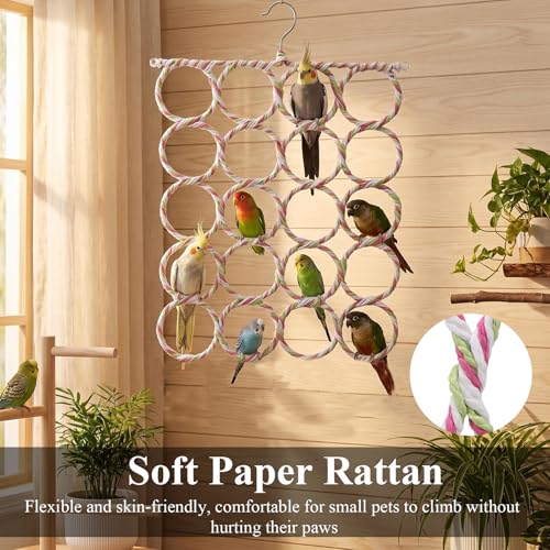 Hypeety Rat Climbing Rope Net Small Pet Hanging Swing for Cage Accessories | Bird hammock, climbing ladder bridge, cage enrichment toys, for rat/guinea pig/sugar glider, with 4 hooks, 20-ring, 2pcs - color: 20-ring