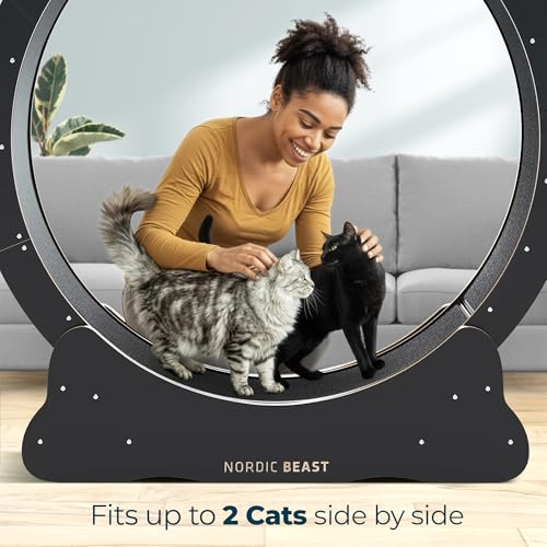 48'' XL Cat Wheel – Safe, Quiet & Stable Exercise Wheel for Large Indoor Cats up to 45 lbs – 15.7'' Extra-Wide Surface Fits 2 Cats Side by Side & Prevents Wobbling, 1-Year Warranty - color: Black