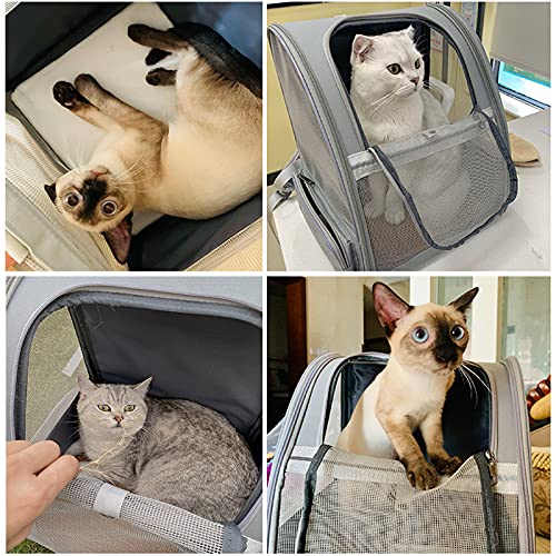 Texsens Innovative Traveler Bubble Backpack Pet Carriers for Cats and Dogs - color: Light Grey