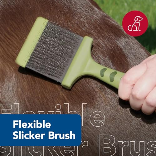 Coastal Pet Safari Dog Flexible Slicker Brush - Dog Brush for Shedding - Undercoat Rake & Grooming Tools for Small & Medium Pets - Small - size: Small