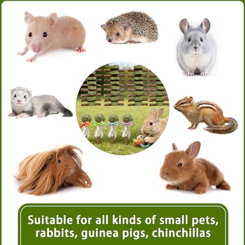 Morezi Guinea Pig Toys Bunny Chew Toy Rabbit Enrichment Accessories for Bunnies Chinchillas Hamsters Mice 8 Sets