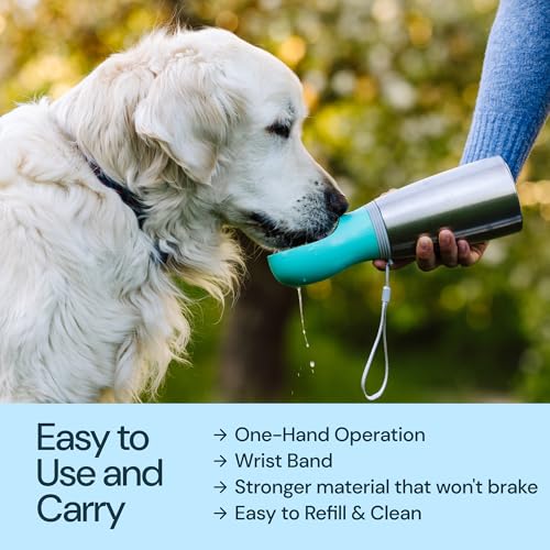 MalsiPree Insulated Dog Water Bottle - 24 oz Blue, Stainless Steel | 24oz insulated steel bottle & bowl - leak-proof - Use for dog travel, hiking, park & beach days - color: Blue, size: 24oz - Insulated
