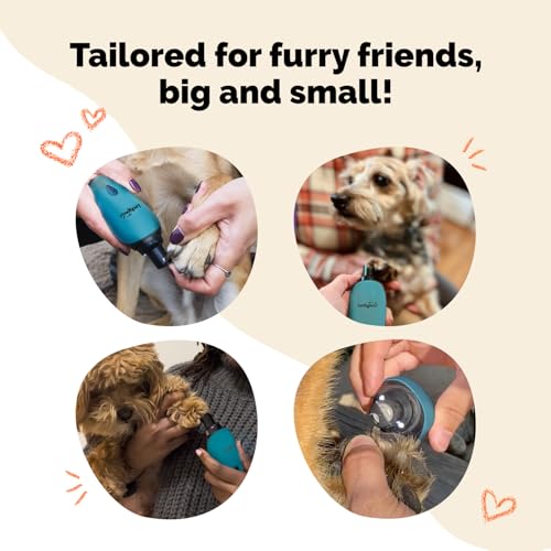 Pet Nail Grinder for Dogs and Cats - Super Quiet and Low Vibration Electric Dog Nail Grinder with 2 LED Lights - USB Rechargeable and Cordless - 2 Speeds - Small to Large Pets - Teal - color: Teal