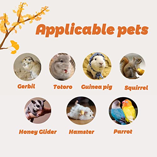 Litewoo Small Animal Bed Nest Winter Warm Hammock Comfortable Fit Squirrel Sugar Glider Gerbil Rat Hamster Bird Parrot - color: Bird Bed - B