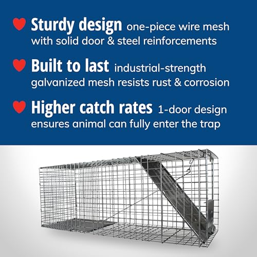 Havahart Large 1-Door Live Animal Trap for Raccoons, Cats, Bobcats, Beavers | Heavy Duty Humane Catch and Release Cage Trap for Outdoor Pest Control, 1079SR
