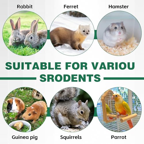 Salcod 42 oz Top-Fill Rabbit Water Bottle for Cage, No-Drip Design, White | Stainless Steel Valve, Secure Cage Mount, Visible Water Level, BPA-Free Bottle, For Rabbits, Guinea Pigs & Ferrets