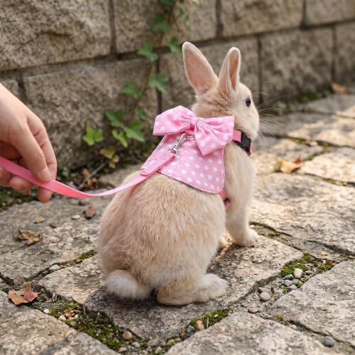 Gjinxi Adjustable Bunny Rabbit Harness Leash Set Comfort No Pulling Vest | Cute Mesh Harness Stuff with Bow, Escape Proof, Accessories, for Small Pets, Kittens, Guinea Pig, Baby Ferret, Rats, Hamster
