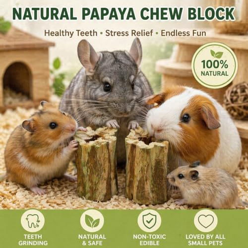Natural Dried Papaya Block Chew Toys, 8 Pcs Organic Papaya Stump Molar Treats, Healthy Teeth Grinding Chews for Rabbits, Guinea Pigs, Chinchillas, Hamsters, Small Animal Foraging Snack