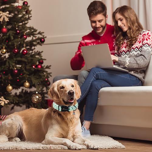 ARING PET Christmas Dog Collar, Cute Green Christmas Tree Pets Collars for Puppy Small Medium Large Girl Boy Dogs-S Size - color: Christmas-Green Tree, size: Small