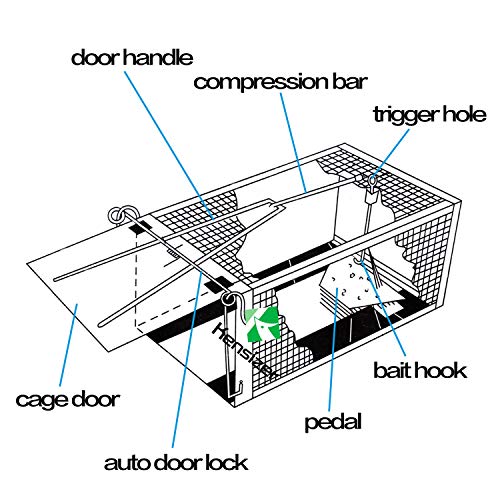 Kensizer Humane Rat Trap, Small Mouse Traps 10.5" L x 5.5" W x 4.5" H | Chipmunk Rodent Trap, Indoor and Outdoor, Mouse Voles Hamsters, Live Cage Catch and Release, 1-Pack - size: Small