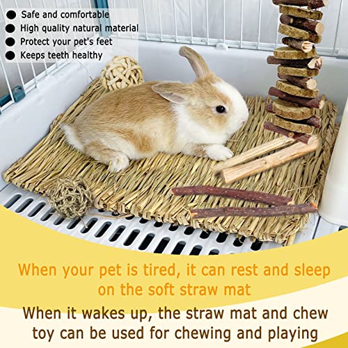 Bunny Grass Bed Mat 18Pcs Rabbit Chew Toys Set Hand-Made Woven Hay Mat | Wood&Bamboo Sticks and Timothy Grass Cake&Ball,Small Animals Teeth Grinding Chew Treat Toy for Guinea Pig - size: 18PCS Bunny Chew Toys