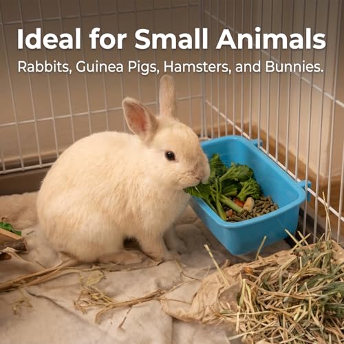 Chicken Guinea Pig Food Bowl, 4.7 * 2.8 in Rabbit Feeder Waterer Guinea Pig Bowl Bunny Water Bowls Feeder Clip-On Wire Cage Bowls for Cat Dove Puppy Bird Bath Basin Hamster Bed Kitten(3 PCS)