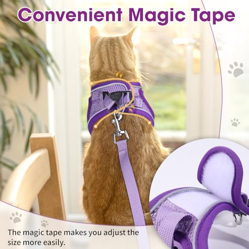 Cat Harness and Leash Set, Escape Proof Kitten Harness Purple XS | Safe Reflective Strips, Adjustable Easy Wear Kitty Harness, Sturdy Clip Buckle, Breathable Mesh , for Kitty Puppy Bunny Walks - color: Purple, size: XS