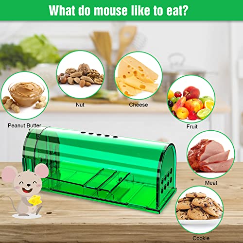 6 Pcs Humane Reusable Live Mouse Mice Traps Indoor Catcher for Home | Green, PC Material, Reusable Capture & Release, Use for Indoor, Waterproof - size: 6 Pack