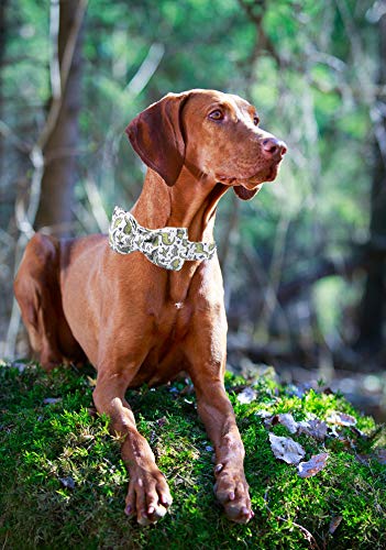 ARING PET Bowtie Dog Collar, Dog Collar with Bow, Adjustable Dog Collars for Small Medium Large Dogs. - color: Dinosaur, size: X-Small (Pack of 1)