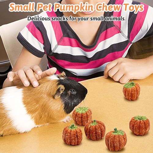 Fhiny 6 PCS Rabbit Chew Toys, Natural Pumpkin Carrot Timothy Grass Guinea Pig Chew Toys for Teeth Bunny Molar Snacks Dental Care Hamster Treats for Bunny Guinea Pig Chinchilla Hamster Gerbil - size: 6 PCS