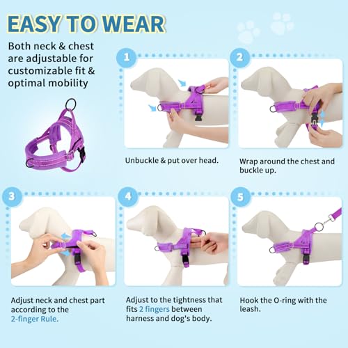 Lukovee Small Dog Harness and Leash Set, No Pull Soft Padded Vest | Both Neck & Chest Adjustable, Reflective, Puppy Harness with 4ft Lightweight Anti-Twist Dog Leash for Small Dogs (Purple,XXS) - color: A-Purple, size: XXS ( Chest 11.5'' ~ 15'')