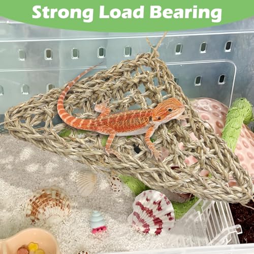BNOSDM Reptile Hammock Reptile Wooden Ladder Bridge Bearded Dragon Hammock with Suction Cup Lizard Tank Accessories for Chameleon Hermit Crabs Ball Python Gecko Snake