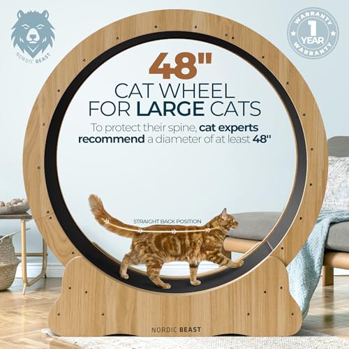 Walnut Wood 48'' XL Cat Wheel - Cat Wheels for Indoor Cats Which Doesn't Negatively Affect Your Cat's Spine - 15.7'' Extra Wide Walnut Exercise Wheel - Fits 2 Cats Side-by-Side, 1-Year Warranty - color: Walnut