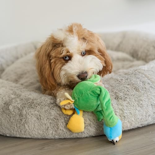 SPOT Chirpies Plush Dog Toy – Bird Sound Squeaky Toy for Small and Medium Dogs, Light to Moderate Chewers, Stretchy Bungee Neck, Recycled Stuffing – 14 in, Assorted Styles