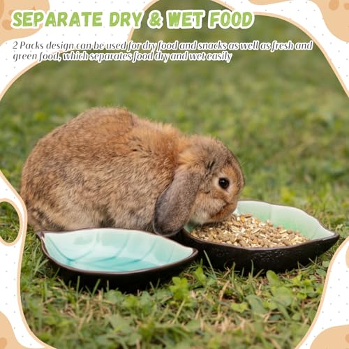 2 Pcs Hamster Food Bowl Ceramic Food Water Feeding Dish for Hamster Guinea Pig Hedgehog Gerbil Dwarf Rat Mice Chinchilla Sugar Glider(Leaf) - style: Leaf