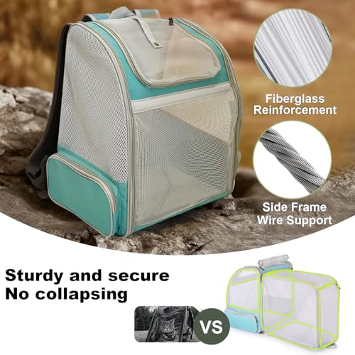 Backpack to Carry Cat and Small Puppy up to 16 Pounds, Breathable Pet Carrier to Transport Kitten Rabbit to Vet Visit Bag, Airline Approved Collapsible Expandable Black - color: Green