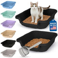 KittyGohere Senior Cat Litter Box Small with Scoop, 2 Pack Black | Open Top Low Entrance Kitty Litter Box With With Long-handle Jumbo Scoop, Lightweight & Durable Litters Box, Made in USA - color: Black, size: Small(2 Pack) with Scoop