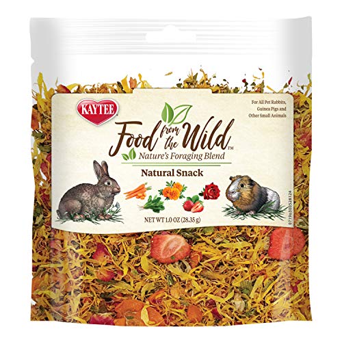 Kaytee Food from The Wild Natural Snack for Pet Rabbits, Guinea Pigs and Other Small Animals, 1 Ounce (Pack of 2) - size: 1 Ounce (Pack of 2)