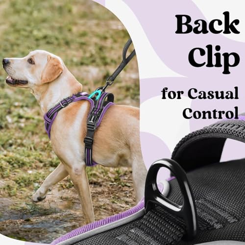 rabbitgoo Dog Harness Small Sized, Updated Easy On & Off with 3 Buckles | No Pull No Choke, Walking with 2 Clips and Handle, Adjustable Soft Reflective, Black & Purple, Small - color: Black & Purple, size: Small