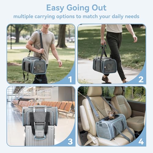 Petsfit Small Double Expandable Cat Carrier for Kittens and Air Travel | 16 x 10 x 9 in; sized for Alaska Airlines, with locking zippers, an interior safety tether and multi-side ventilation. - color: Light Grey, size: 16.0"L x 10.0"W x 9.0"H
