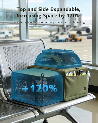 Pecute Top Expandable Airline Approved Pet Carrier for Cats, Dark Gray | Top side expandable, breathable scratch-resistant mesh, leakproof pee pad, locking zippers, foldable travel bag under 11lbs. - color: Olive Green