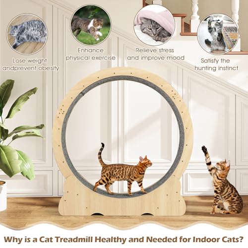 Tangkula Cat Wheel for Indoor Cats, 40 Inch Large Cat Exercise Wheel with Lockable Mechanism, Carpeted Runaway, Wooden Ultra Low Noise Running Treadmill with a Teaser Toy for Kitty Fitness