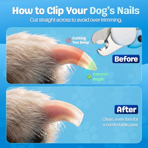 Flexzion Dog Nail Clippers and Cat Nail Trimmer with Safety Guard, Blue | Pet Nail Clippers with a 3.5 mm Stainless Steel Blade for Grooming Puppies, Indoor Cats and Small, Medium or Large Dog Breeds - color: Blue