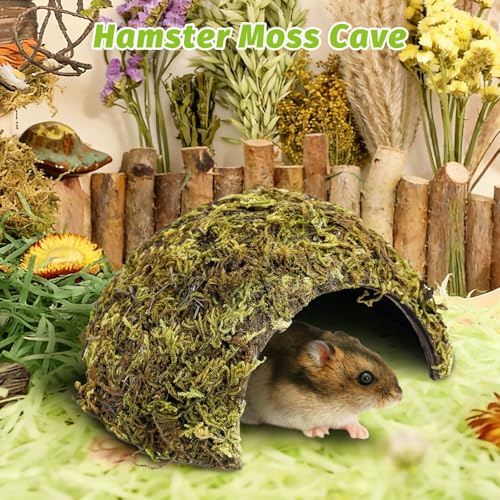 BNOSDM Hamster Hideout Natural Mossy Cave Hamster Houses and Hideouts Moss Covered Coconut Enclosed Hiding Hut for Mice Habitat Hamster Cage Accessories for Dwarf Gerbil Syrian Fancy Mouse - size: Small-1Pcs