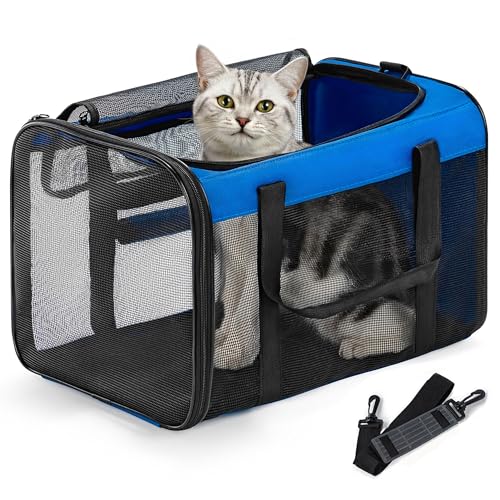 Conlun Cat Carrier Bag,Soft-Sided Pet Carriers for Dogs with 4-Sided Mesh,Airline Approved Cat Transport Carrier for Small&Medium Cats Kitten Puppy Up to 15LB,Collapsible Cat Travel Carrier-M,Blue - color: Blue, size: M