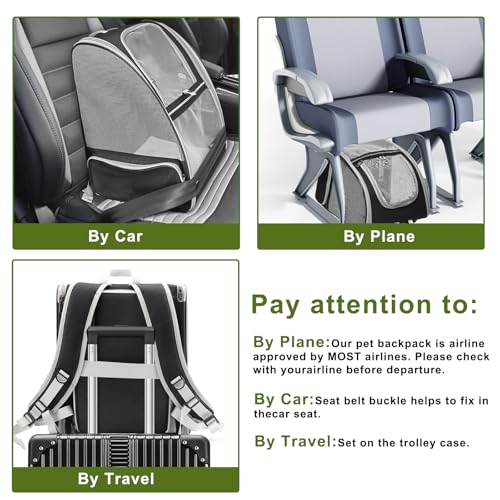 Texsens Innovative Traveler Bubble Backpack Pet Carriers for Cats and Dogs (Expandable-Black) - color: Expandable-Black