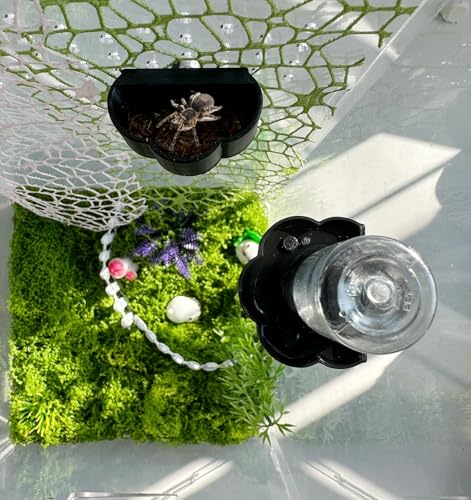 Jumping Spider Water Dispenser, Magnetic Hanging Feeder Dish with Cleaning Brush and Tweezers,Fits for Jumping Spiders,Arboreal Animals, and Other Small Animal Accessories (Black, 8ml) - color: Black