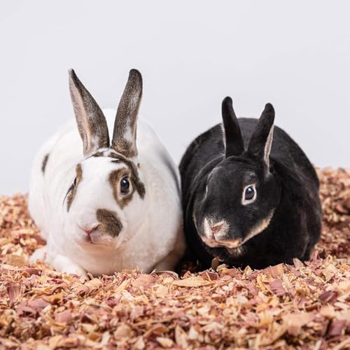 Pick Pets Red Cedar Bedding for Dogs, Rabbits and Horses | 100% Pet-Safe Material | All-Natural | Zero Artificial or Unsafe Chemicals, 24L