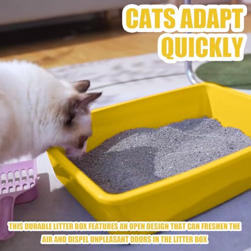 Small Litter Box, Plastic Kitten Litter Box, 13.9 x 9.8 x 3 Inch Open Litter Box for Small Pet, Easy to Clean (Yellow 4PCS) - color: Yellow 4PCS