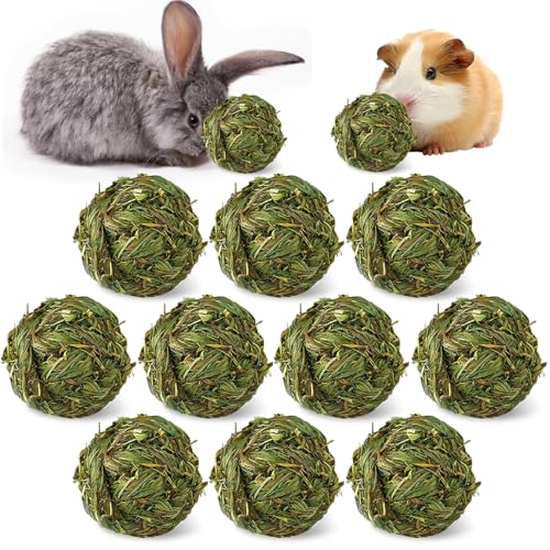 Hamiledyi 10 Pcs Rabbit Chew Ball Timothy Grass Ball Small Animal Activity Play Chew Toys Teeth Grinding for Bunny Rabbits Hamster Guinea Pigs Gerbils Chinchillas - style: Round 10 PCS