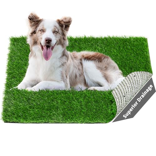 2 Pack Artificial Dog Grass Pee Pad 20"x 25", Fake Grass Pad for Dogs Tray | Easy to Clean, Replacement Turf Mat, Washable, Reusable, Realistic, Indoor Puppy Potty Training, for Apartment, Balcony Use - size: 20"x25"