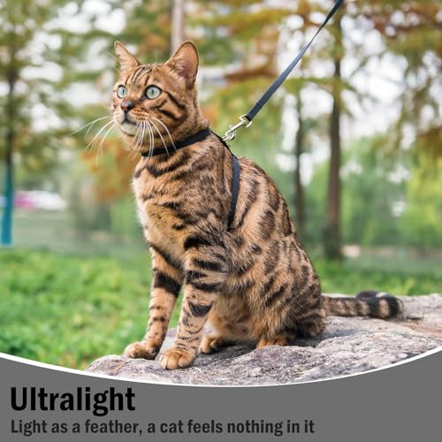 PUPTECK Adjustable Cat Harness and Leash Set Escape Proof Kitten Strap Collar for Walking Travel, Black, M - color: Black, size: Medium