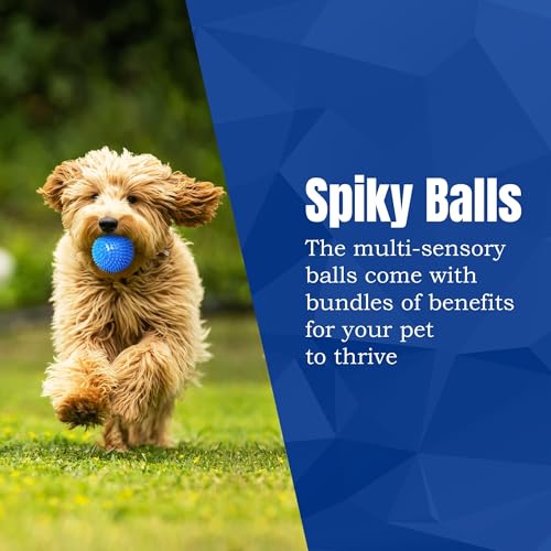 Meric CoCoo 3-Pack Squeaky Dog & Ferret Ball Toys, 2.3", Massage Teeth and Gums, Spikey Cat Rubber Balls, Toss Fetch Squeeky Doggy Balls for Multi-Pet Homes