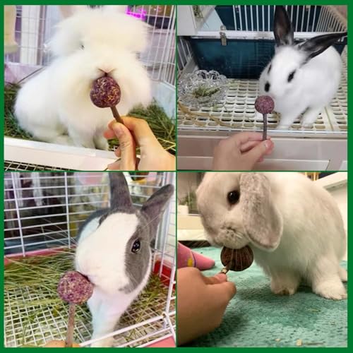kathson 16PCS Rabbit Timothy Hay Treats Sticks,Interactive Bunny Lollipop Chew Sticks,Natural Guinea Pigs Chewing Treats Molar Teeth Toys for Small Animals,Chinchilla,Hamster,Gerbil
