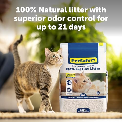 PetSafe ScoopFree Premium Natural Cat Litter, 8 lb Bag | Non-Clumping Cat Litter, 30+ Day Odor Control, No Chemicals, Additives, Dyes or Fragrances, Use with Any Litter Box - size: 1-Pack (8 lb Bag)