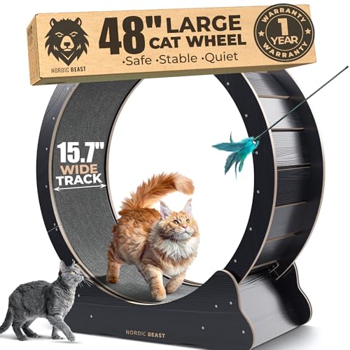 48'' XL Cat Wheel – Safe, Quiet & Stable Exercise Wheel for Large Indoor Cats up to 45 lbs – 15.7'' Extra-Wide Surface Fits 2 Cats Side by Side & Prevents Wobbling, 1-Year Warranty - color: Black