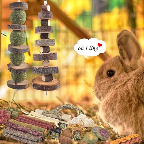 ERKOON 100PCS Rabbit Chew Toys, Natural Timothy Grass Cakes Guinea Pig Toys, Small Animal Teeth Grinding Treats for Bunny Hamster Chinchilla, Safe Dental Care Snacks - size: 100