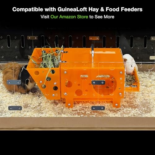 GuineaLoft™ Guinea Pig Cheese House (Double) V2 | The Ultimate Guinea Pig Hideout by Seasoned Owners Who Tried Everything Out There - Exclusive by GuineaLoft