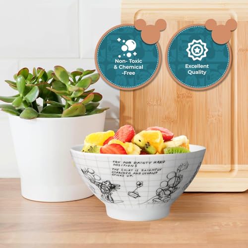 Disney Minnie Mouse Soup Bowls By Zrike Brands - Porcelain Sketchbook Cereal Bowls - Dishwasher & Microwave Safe Cute Serving Bowls - Official Disney Licensee - Dinsey Gift Idea | Set of 4